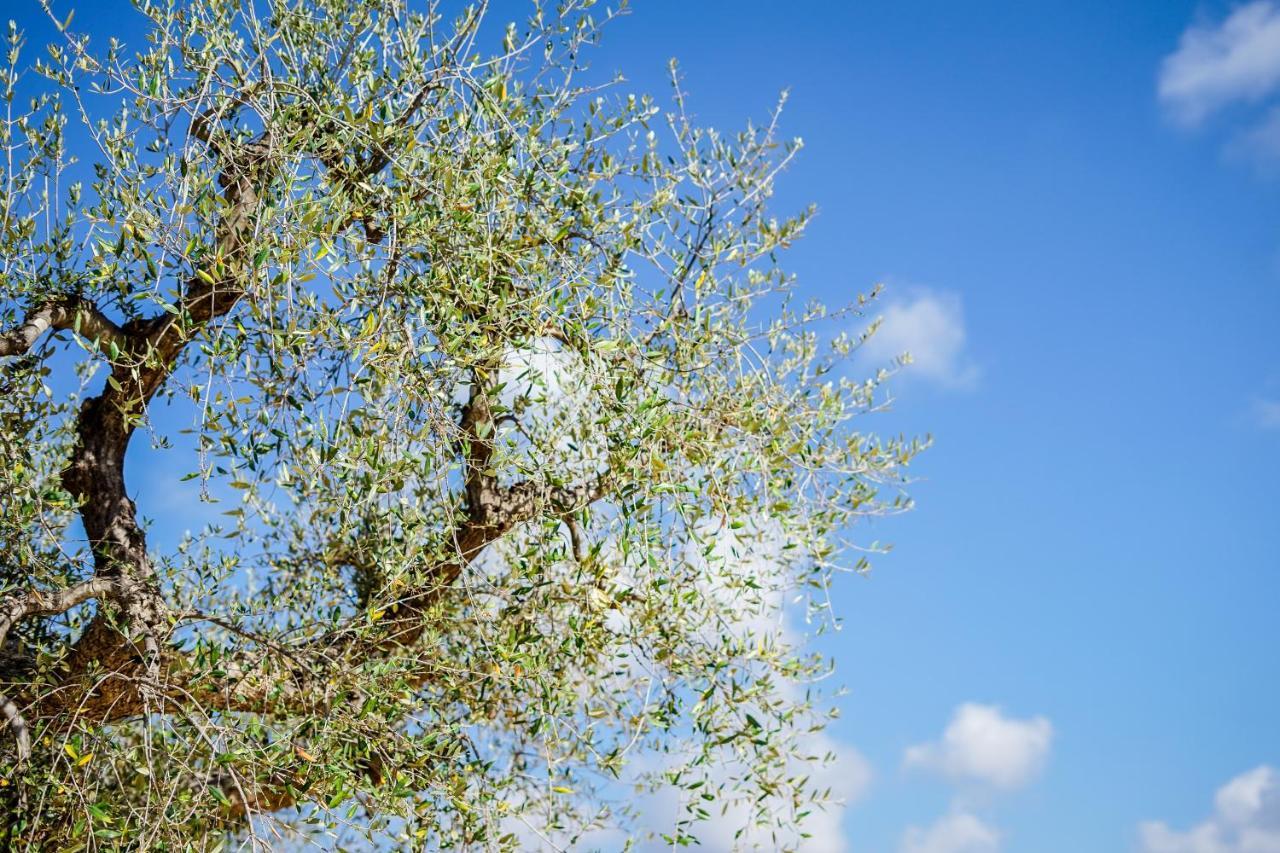Quattroperle Trulli - Relax - Puglia Villa Castellana Grotte Ngoại thất bức ảnh